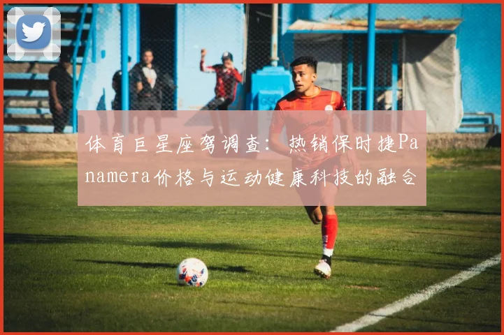 体育巨星座驾调查：热销保时捷Panamera价格与运动健康科技的融合