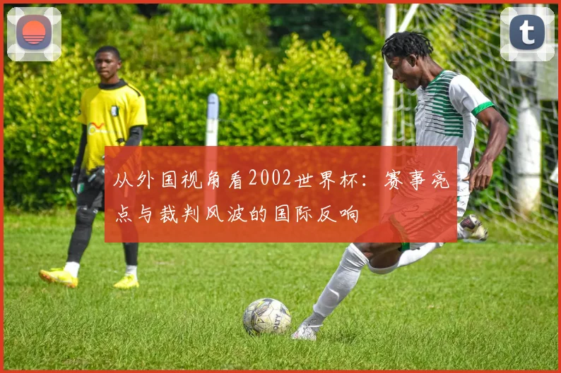从外国视角看2002世界杯：赛事亮点与裁判风波的国际反响